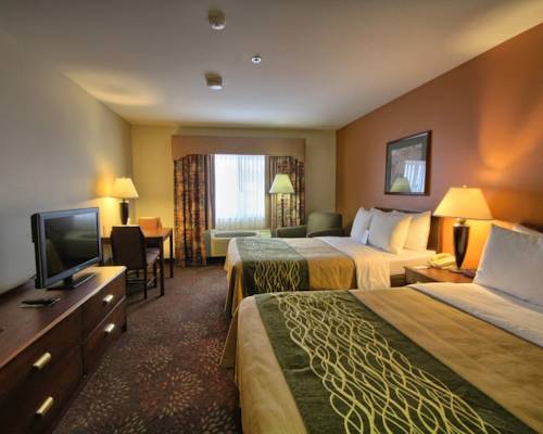 Imagen de la habitación del Hotel Comfort Inn Okemos - East Lansing. Foto 4