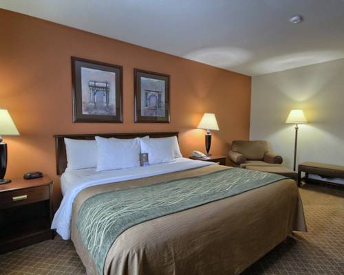 Imagen de la habitación del Hotel Comfort Inn Okemos - East Lansing. Foto 8