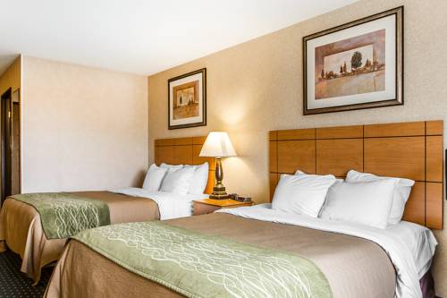 Imagen de la habitación del Hotel Comfort Inn Onalaska - La Crosse Area. Foto 5