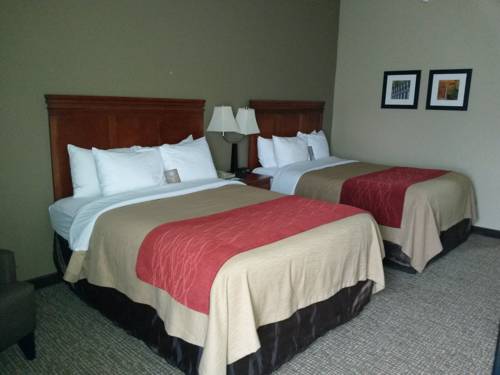 Imagen de la habitación del Hotel Comfort Inn Opelika - Auburn. Foto 3