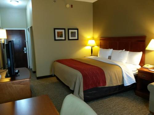 Imagen de la habitación del Hotel Comfort Inn Opelika - Auburn. Foto 4