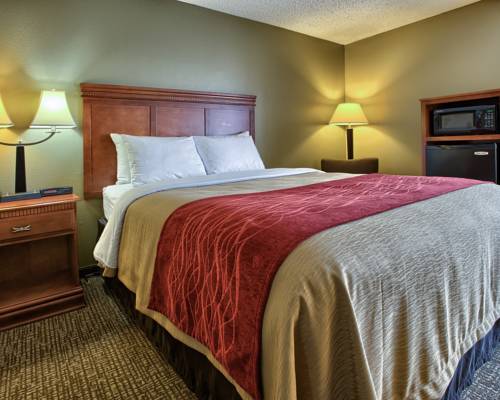 Imagen de la habitación del Hotel Comfort Inn Opelika - Auburn. Foto 7