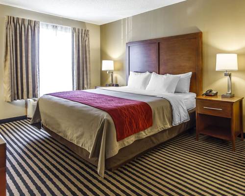 Imagen de la habitación del Hotel Comfort Inn Owatonna Near Medical Center. Foto 3