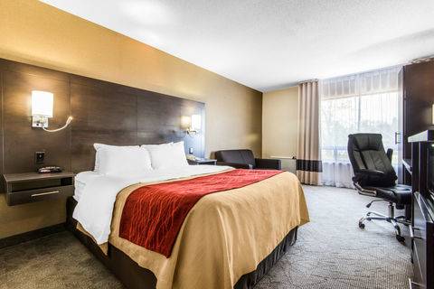 Imagen de la habitación del Hotel Comfort Inn Owen Sound. Foto 15