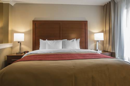 Imagen de la habitación del Hotel Comfort Inn Pa Turnpike - 1-81. Foto 5