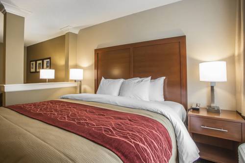 Imagen de la habitación del Hotel Comfort Inn Pa Turnpike - 1-81. Foto 6