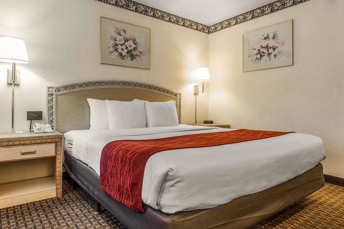 Imagen de la habitación del Hotel Comfort Inn Palo Alto. Foto 3