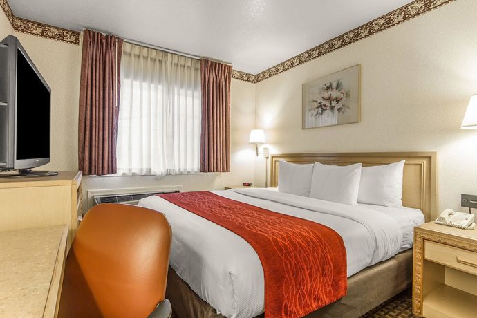 Imagen de la habitación del Hotel Comfort Inn Palo Alto. Foto 8