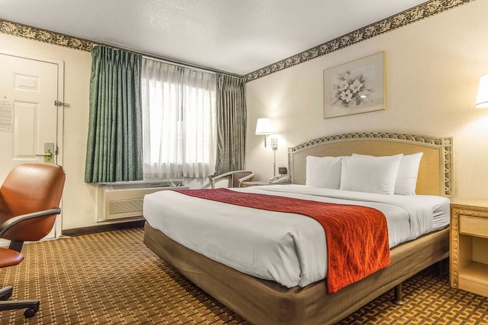 Imagen de la habitación del Hotel Comfort Inn Palo Alto. Foto 9