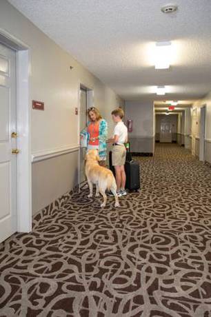 Imagen general del Hotel Comfort Inn Pensacola Near Nas Corry Station. Foto 1