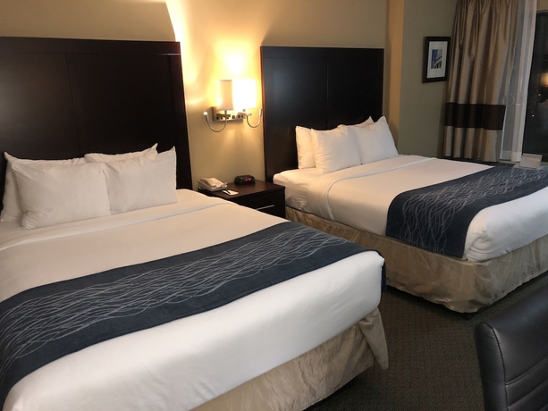 Imagen de la habitación del Hotel Comfort Inn Pentagon City. Foto 7