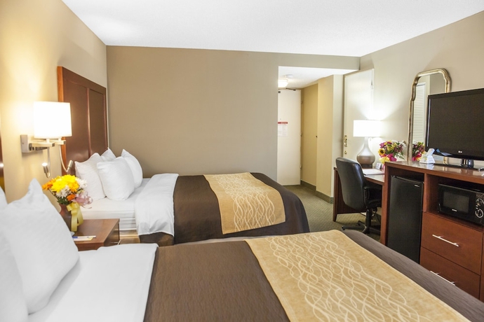 Imagen de la habitación del Hotel Comfort Inn Pentagon City. Foto 8