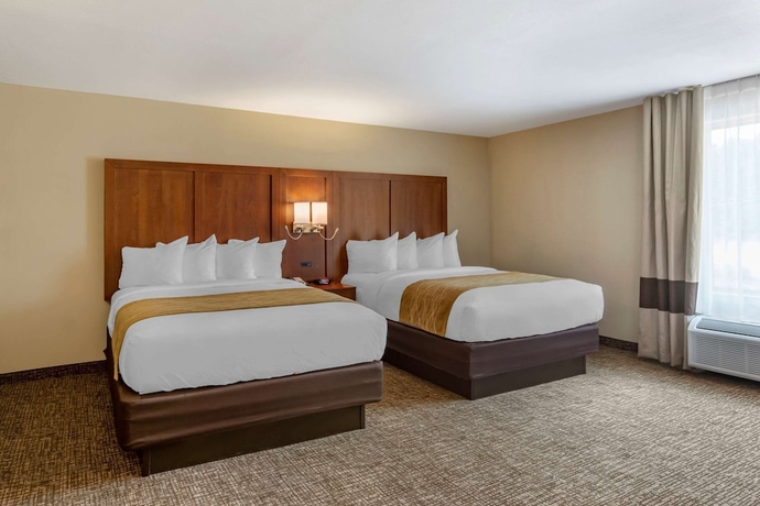 Imagen de la habitación del Hotel Comfort Inn Petersburg Near Fort Gregg-adams. Foto 3