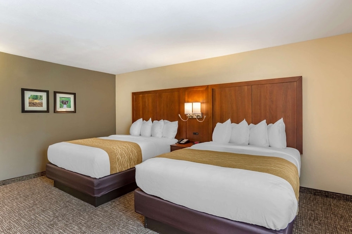 Imagen de la habitación del Hotel Comfort Inn Petersburg Near Fort Gregg-adams. Foto 4