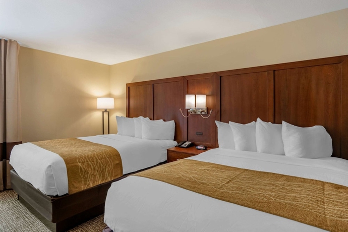 Imagen de la habitación del Hotel Comfort Inn Petersburg Near Fort Gregg-adams. Foto 10