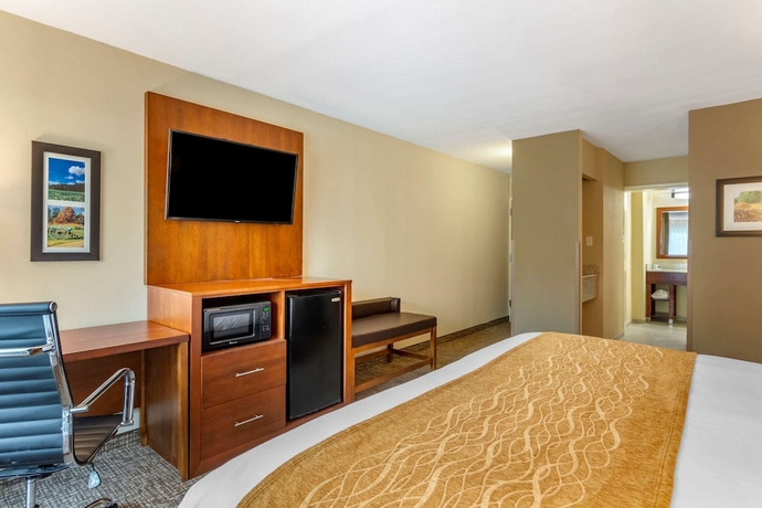 Imagen de la habitación del Hotel Comfort Inn Petersburg Near Fort Gregg-adams. Foto 13