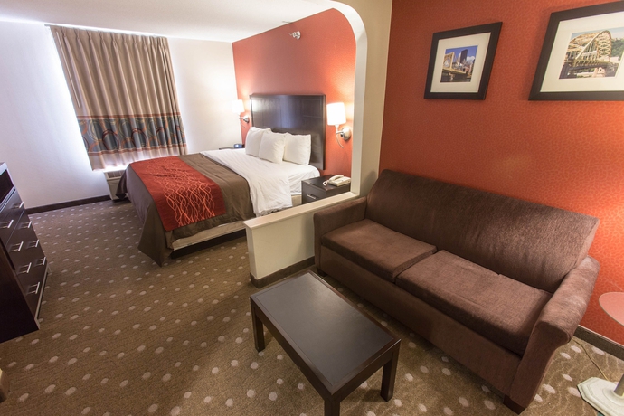 Imagen de los interiores del Hotel Comfort Inn Pittsburgh. Foto 14
