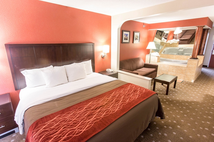Imagen de la habitación del Hotel Comfort Inn Pittsburgh. Foto 5