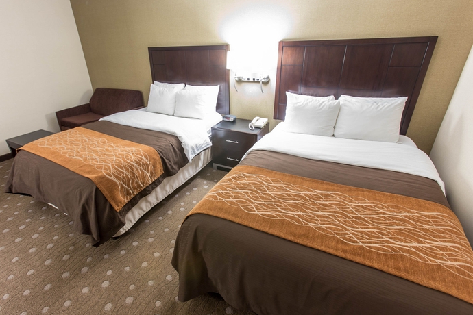 Imagen de la habitación del Hotel Comfort Inn Pittsburgh. Foto 8