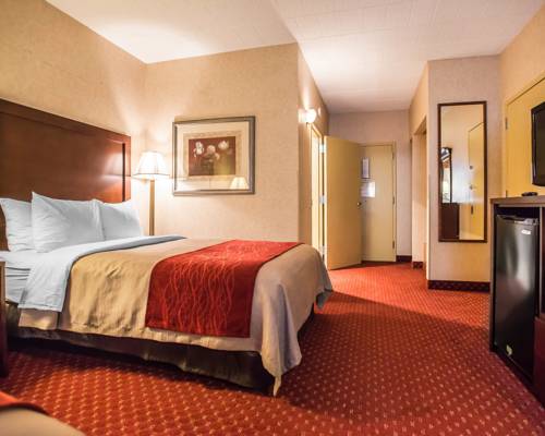Imagen de la habitación del Hotel Comfort Inn Pocono Lakes Region. Foto 4