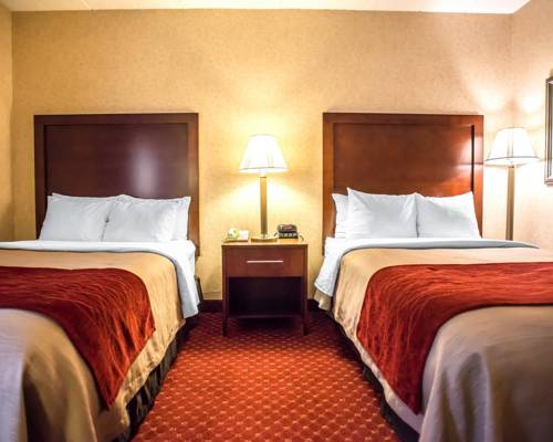 Imagen de la habitación del Hotel Comfort Inn Pocono Lakes Region. Foto 16