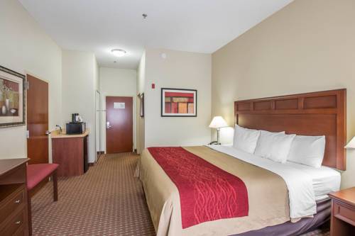 Imagen de la habitación del Hotel Comfort Inn Powell - Knoxville North. Foto 3