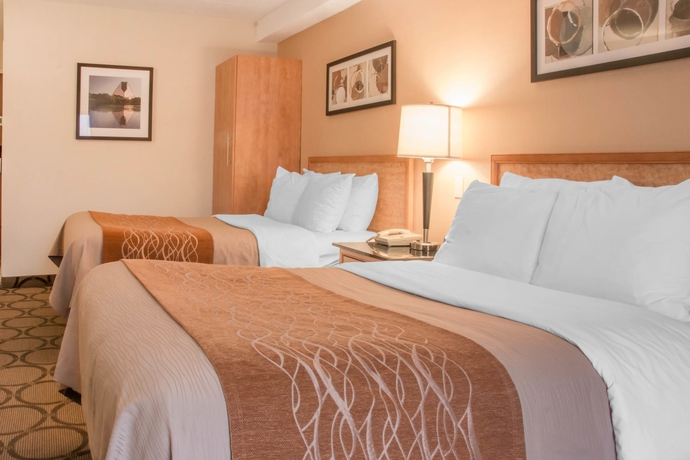 Imagen de la habitación del Hotel Comfort Inn Prince Albert. Foto 2