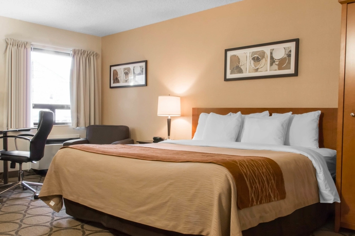 Imagen de la habitación del Hotel Comfort Inn Prince Albert. Foto 8