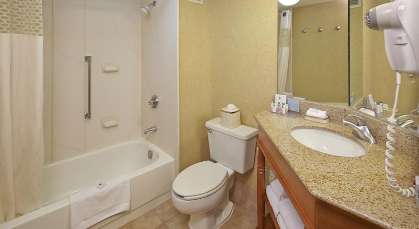 Imagen de la habitación del Hotel Comfort Inn Raleigh Midtown. Foto 7