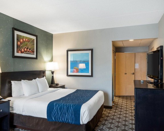 Imagen de la habitación del Hotel Comfort Inn Rehoboth Beach. Foto 4