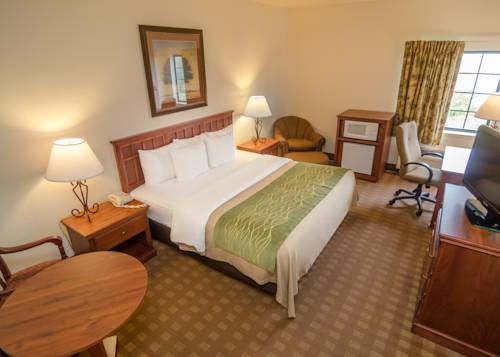 Imagen de la habitación del Hotel Comfort Inn Saint Robert/fort Leonard Wood. Foto 4