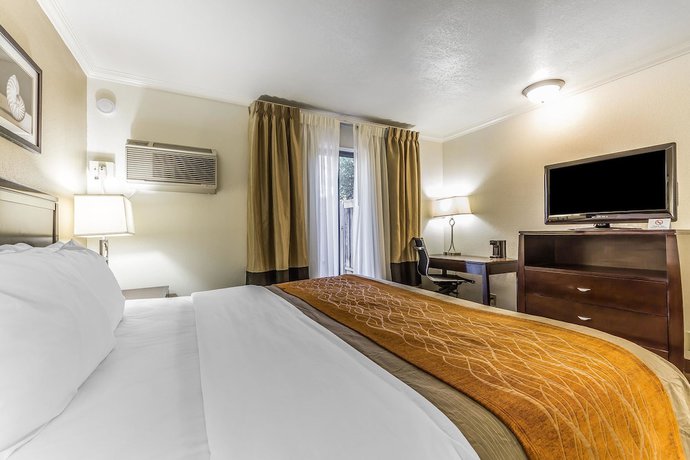 Imagen de la habitación del Hotel Comfort Inn Santa Cruz. Foto 6