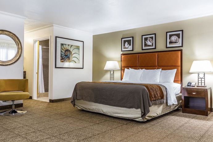 Imagen de la habitación del Hotel Comfort Inn Santa Cruz. Foto 8