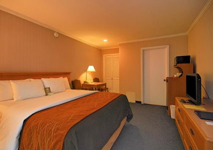 Imagen de la habitación del Hotel Comfort Inn Santa Monica - West Los Angeles. Foto 6