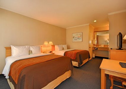 Imagen de la habitación del Hotel Comfort Inn Santa Monica - West Los Angeles. Foto 9