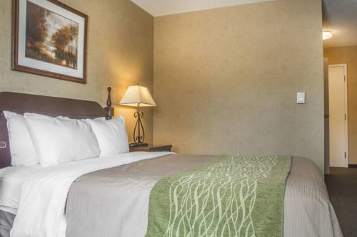 Imagen de la habitación del Hotel Comfort Inn Sarnia. Foto 2
