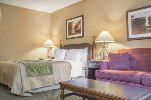 Imagen de la habitación del Hotel Comfort Inn Sarnia. Foto 3