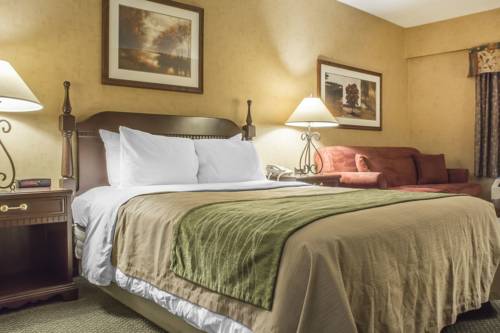 Imagen de la habitación del Hotel Comfort Inn Sarnia. Foto 6