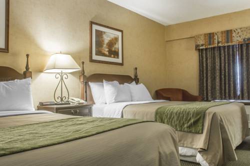 Imagen de la habitación del Hotel Comfort Inn Sarnia. Foto 9