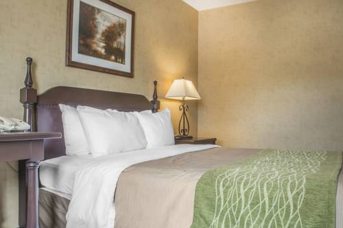 Imagen de la habitación del Hotel Comfort Inn Sarnia. Foto 11