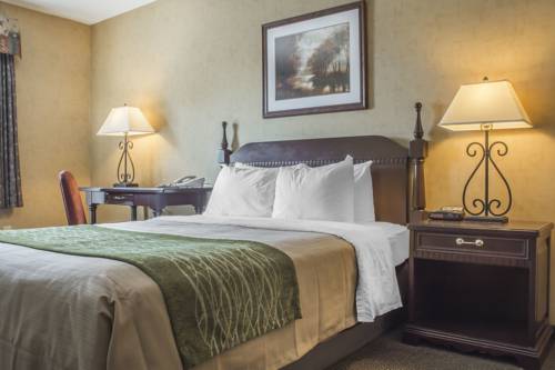 Imagen de la habitación del Hotel Comfort Inn Sarnia. Foto 12