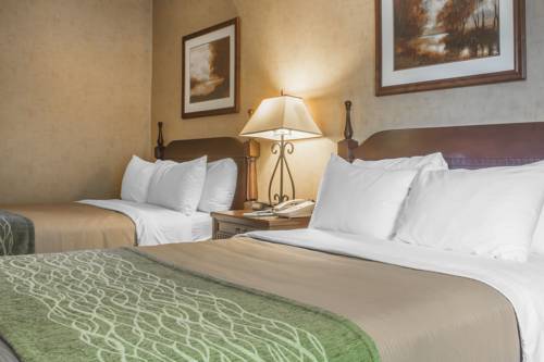 Imagen de la habitación del Hotel Comfort Inn Sarnia. Foto 14