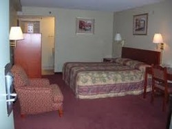 Imagen de la habitación del Hotel Comfort Inn Sea World Area. Foto 2