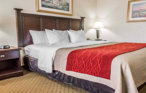 Imagen general del Hotel Comfort Inn, Somerset. Foto 1