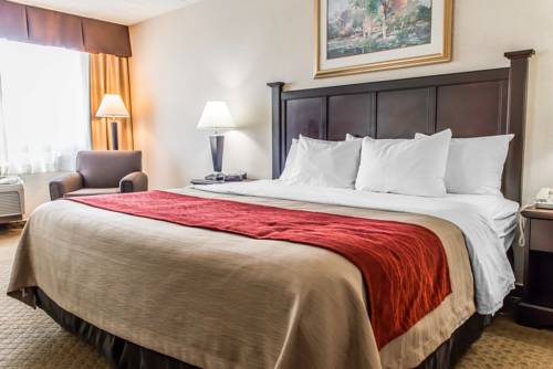 Imagen de la habitación del Hotel Comfort Inn, Somerset. Foto 2