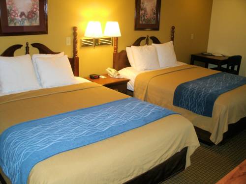 Imagen de la habitación del Hotel Comfort Inn Somerset. Foto 2