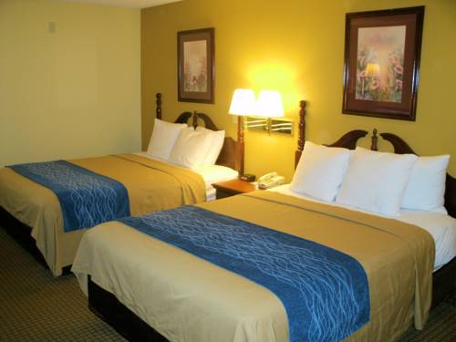Imagen de la habitación del Hotel Comfort Inn Somerset. Foto 4