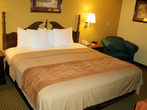 Imagen de la habitación del Hotel Comfort Inn Somerset. Foto 5