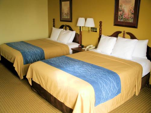 Imagen de la habitación del Hotel Comfort Inn Somerset. Foto 9