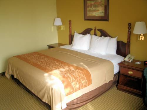 Imagen de la habitación del Hotel Comfort Inn Somerset. Foto 10